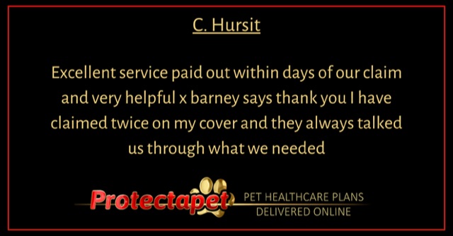 Testimonial of Excellent service from a Protectapet customer